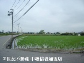 售中央大學便宜農地農地1.3718億