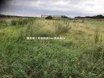 售大園沙崙便宜一般農農地1,816萬