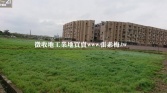 售桃園市中壢區大崙國中旁便宜農地農地3,009萬