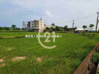 售觀音雙面路大面寬農地農地4,290萬